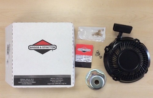 Originale briggs stratton - originale,