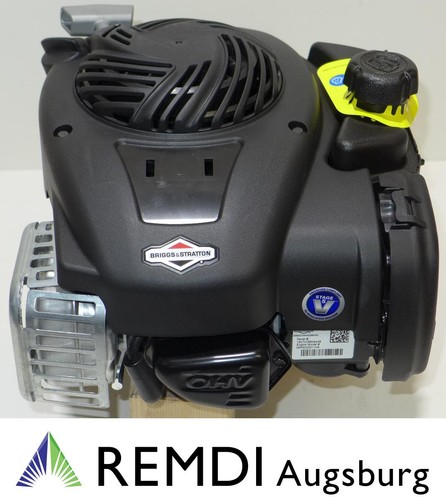 Motore rasaerba briggs - motore,
