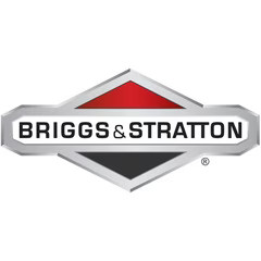 Motorino avviamento briggs - motorino,